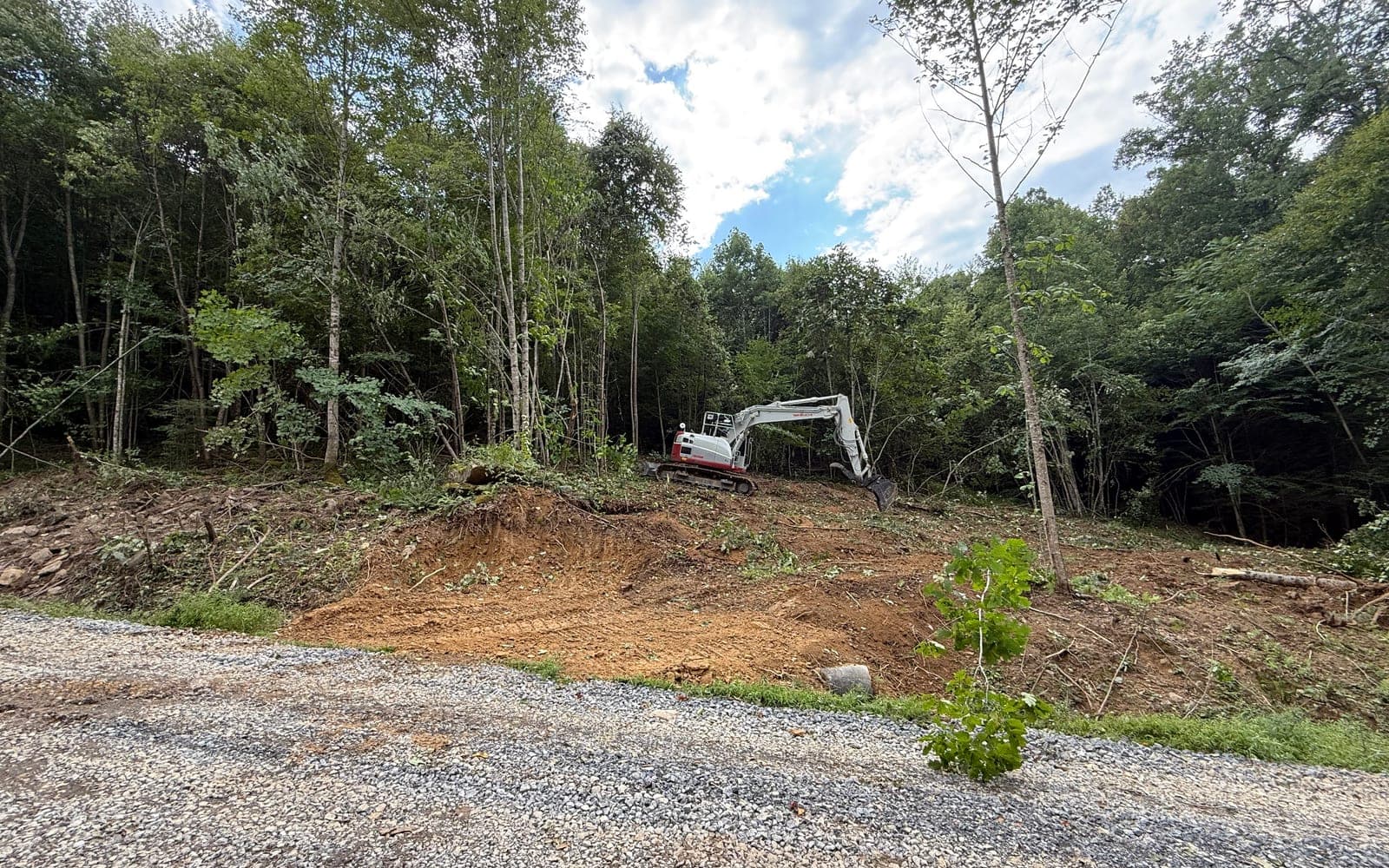 Land Clearing in West Virginia