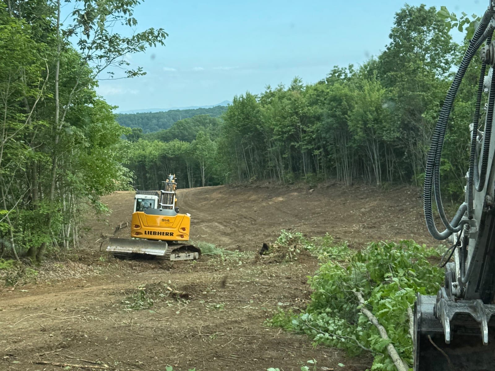 Crawler dozer clearing a wide slope through hardwood timber, with cut brush in the foreground