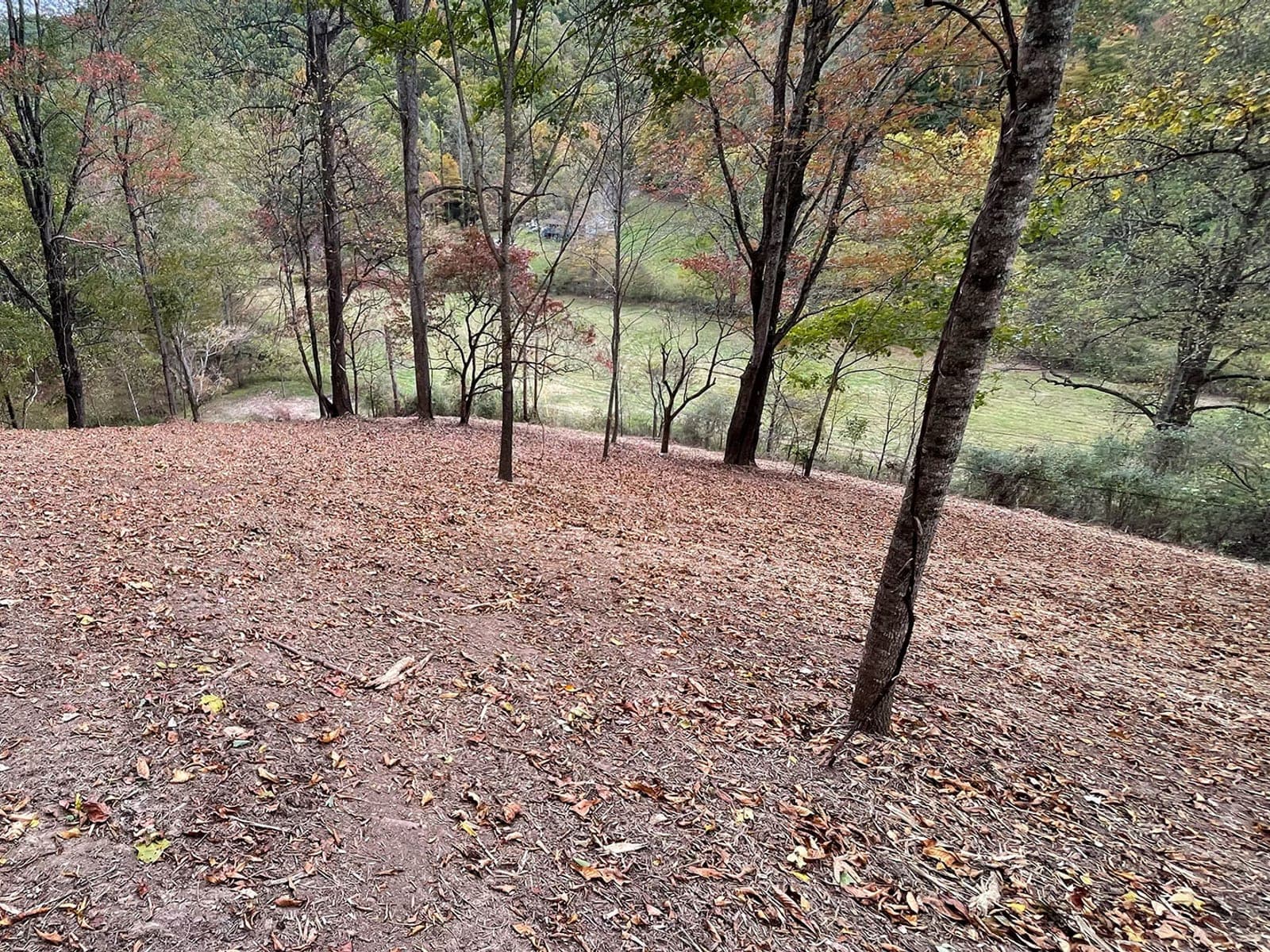 Residential Home Site Clearing — Nicholas County, West Virginia