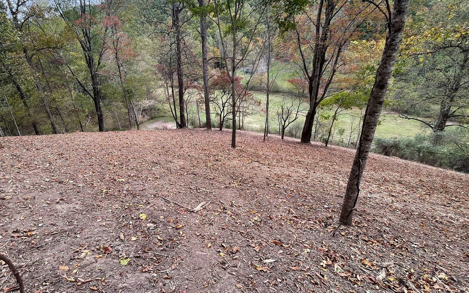 Land Clearing in West Virginia